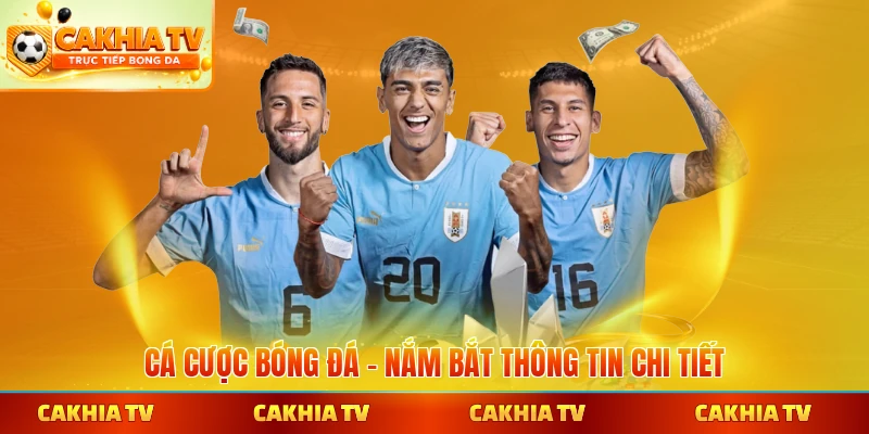 Cá cược bóng đá Cakhiatv